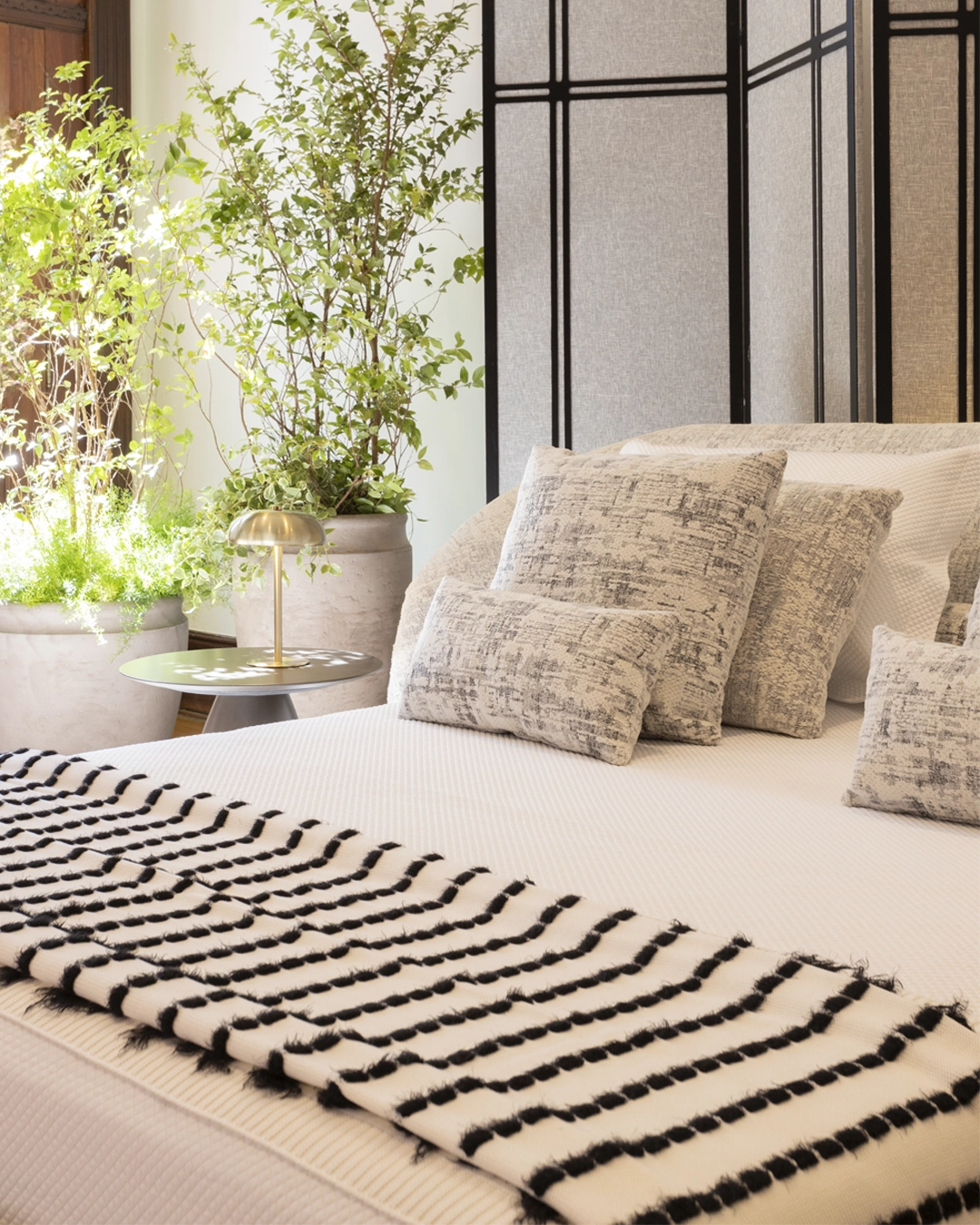 catalunia-ambient-3-1