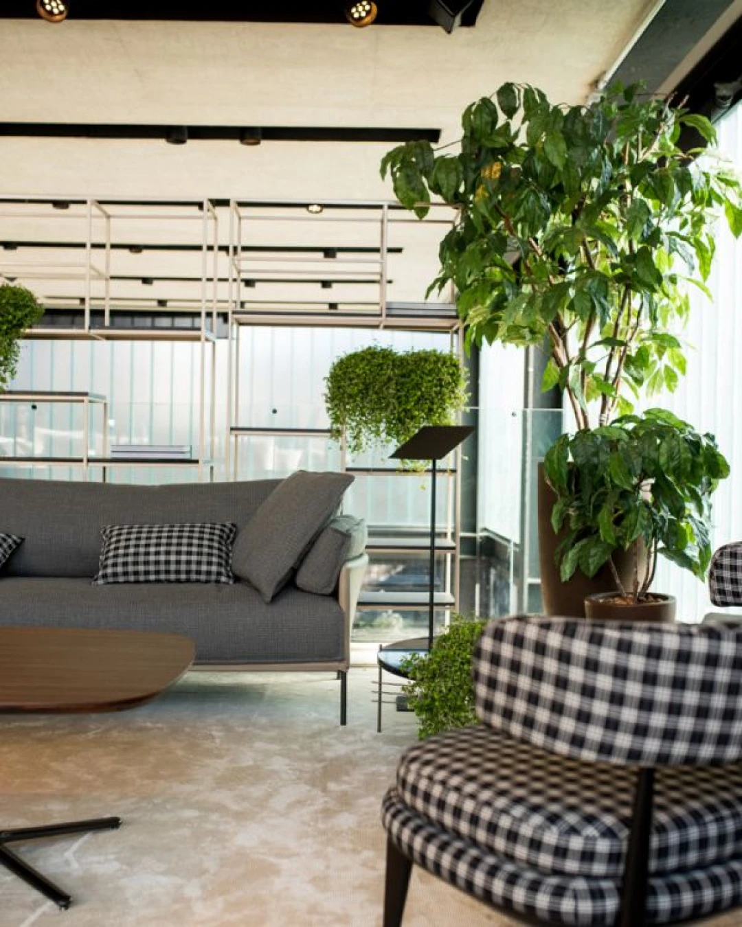 san-andres-ambient-3