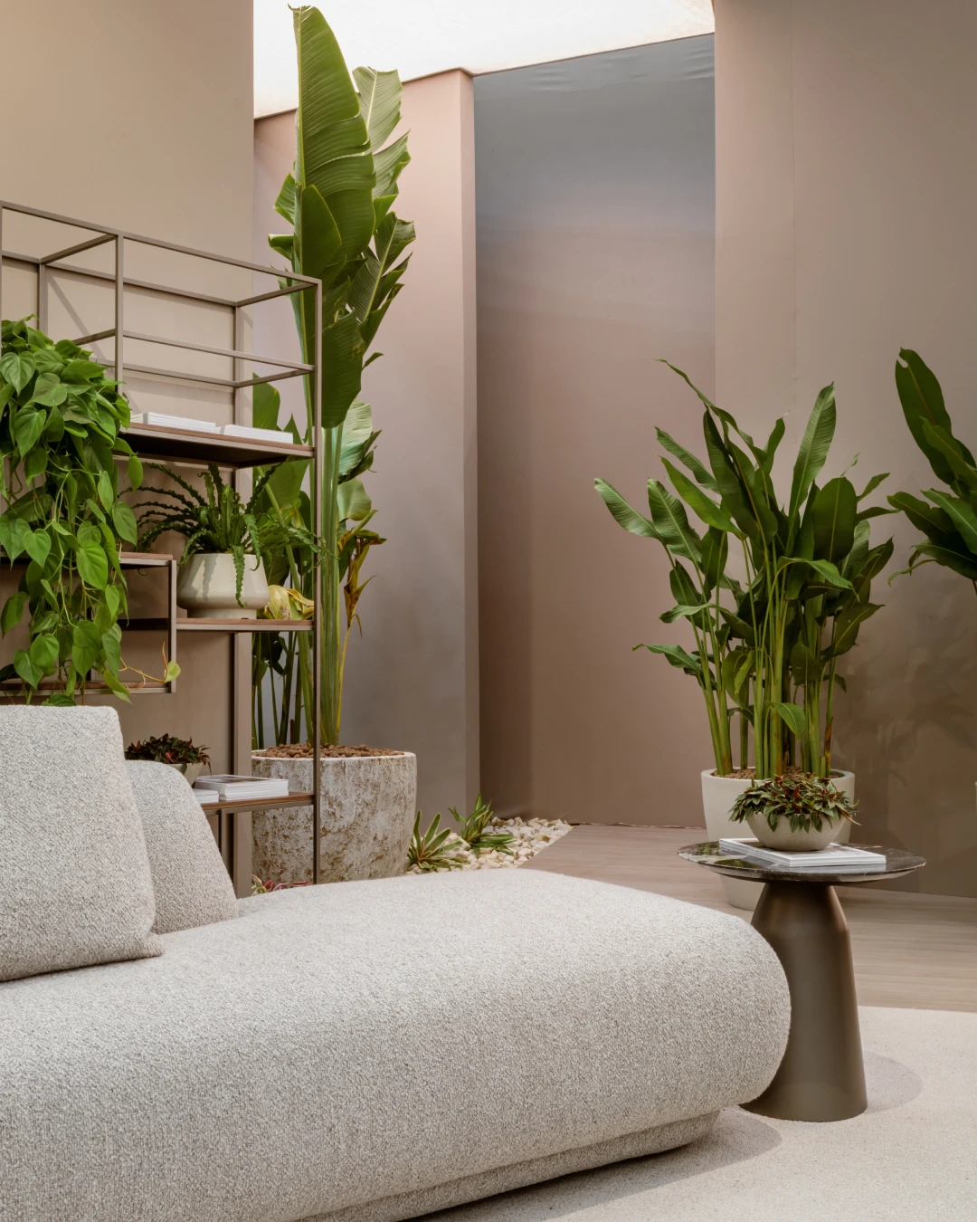 san-cristobal-ambient-1